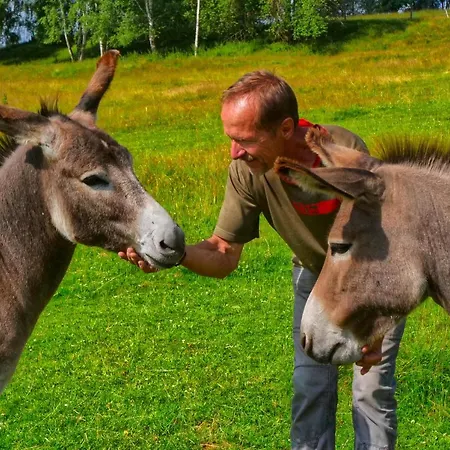 Jenin Landsted Dolní Dvořiště