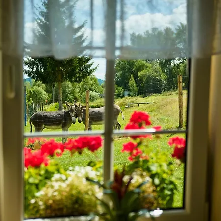 Jenin Country house Dolni Dvoriste