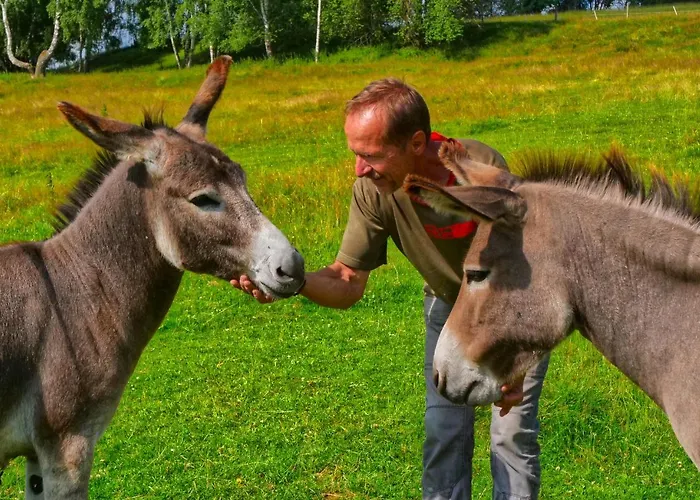 Jenin Kır Evi Dolní Dvořiště